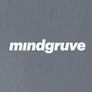 Mindgruve - Top Ecommerce Marketing Services Companies Mindgruve